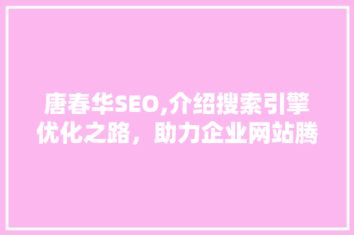 唐春华SEO,介绍搜索引擎优化之路，助力企业网站腾飞  第1张