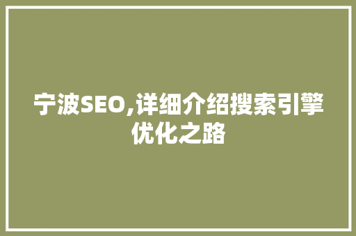 宁波SEO,详细介绍搜索引擎优化之路