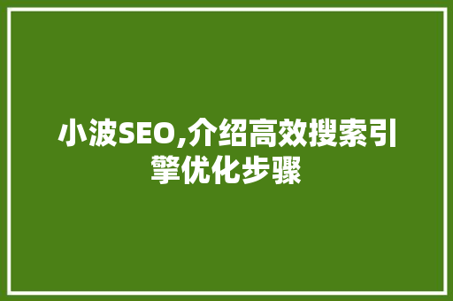 小波SEO,介绍高效搜索引擎优化步骤