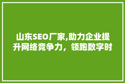 山东SEO厂家,助力企业提升网络竞争力，领跑数字时代