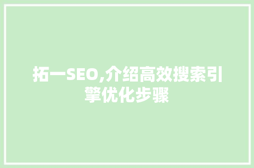 拓一SEO,介绍高效搜索引擎优化步骤  第1张