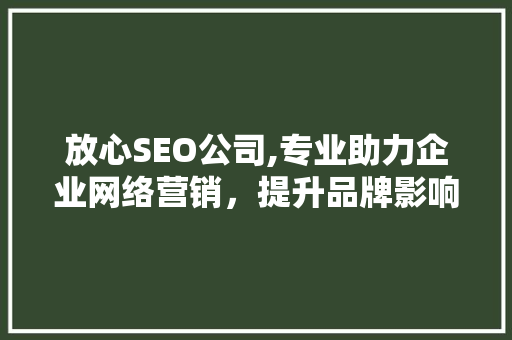放心SEO公司,专业助力企业网络营销，提升品牌影响力