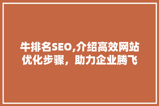 牛排名SEO,介绍高效网站优化步骤，助力企业腾飞