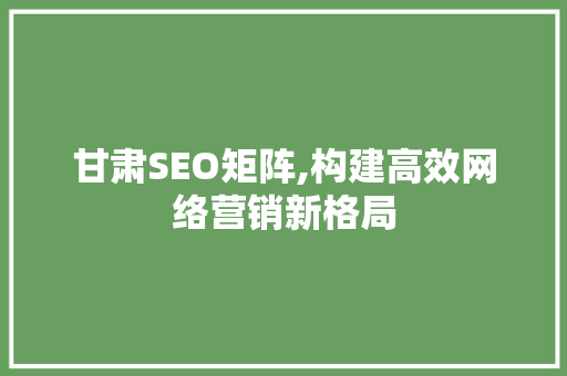 甘肃SEO矩阵,构建高效网络营销新格局