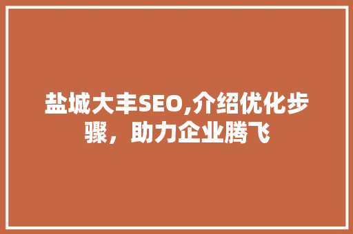 盐城大丰SEO,介绍优化步骤，助力企业腾飞