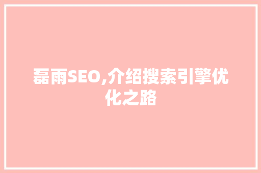 磊雨SEO,介绍搜索引擎优化之路