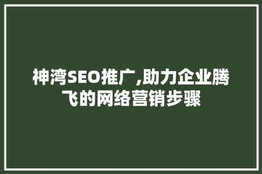 神湾SEO推广,助力企业腾飞的网络营销步骤