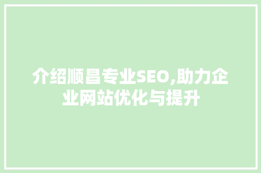介绍顺昌专业SEO,助力企业网站优化与提升