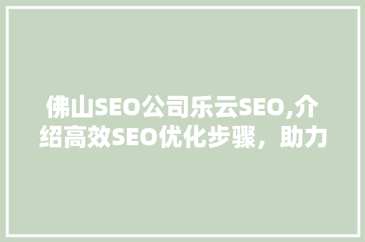 佛山SEO公司乐云SEO,介绍高效SEO优化步骤，助力企业腾飞