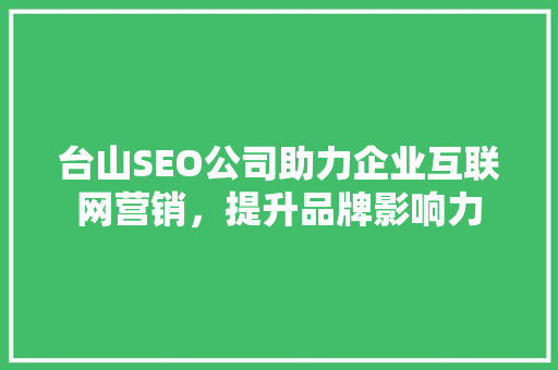 台山SEO公司助力企业互联网营销，提升品牌影响力