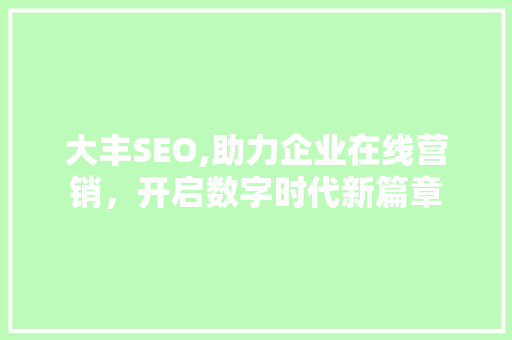 大丰SEO,助力企业在线营销，开启数字时代新篇章