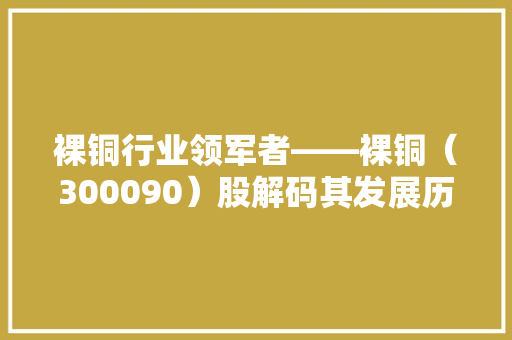 裸铜行业领军者——裸铜（300090）股解码其发展历程与未来展望
