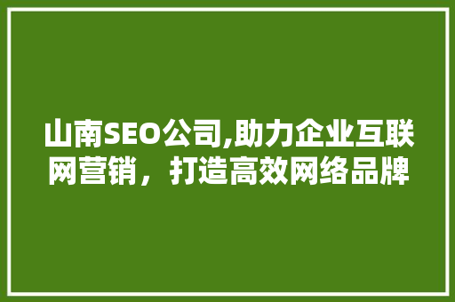 山南SEO公司,助力企业互联网营销，打造高效网络品牌形象