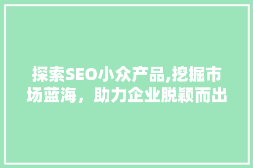 探索SEO小众产品,挖掘市场蓝海，助力企业脱颖而出