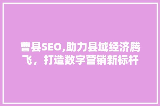 曹县SEO,助力县域经济腾飞，打造数字营销新标杆  第1张