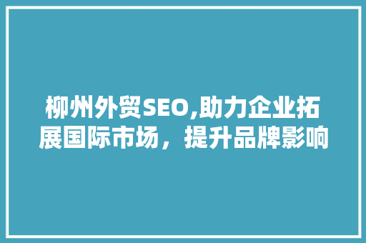 柳州外贸SEO,助力企业拓展国际市场，提升品牌影响力