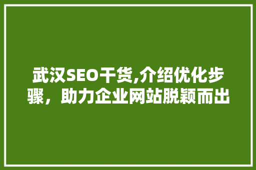 武汉SEO干货,介绍优化步骤，助力企业网站脱颖而出