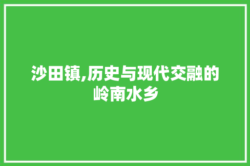 沙田镇,历史与现代交融的岭南水乡