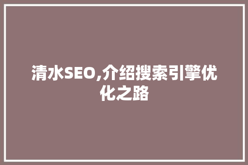 清水SEO,介绍搜索引擎优化之路