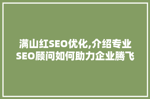 满山红SEO优化,介绍专业SEO顾问如何助力企业腾飞
