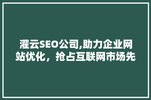 灌云SEO公司,助力企业网站优化，抢占互联网市场先机