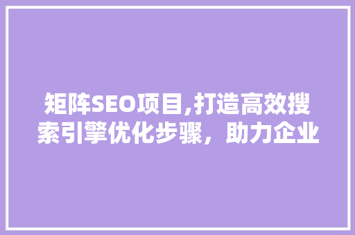 矩阵SEO项目,打造高效搜索引擎优化步骤，助力企业互联网发展