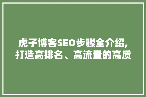 虎子博客SEO步骤全介绍,打造高排名、高流量的高质量博客