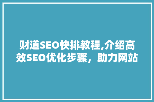 财道SEO快排教程,介绍高效SEO优化步骤，助力网站快速排名