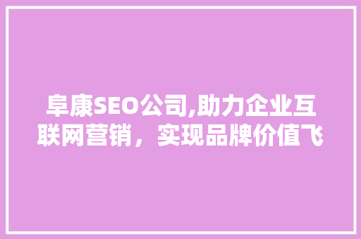 阜康SEO公司,助力企业互联网营销，实现品牌价值飞跃