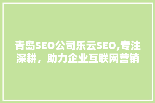 青岛SEO公司乐云SEO,专注深耕，助力企业互联网营销新突破