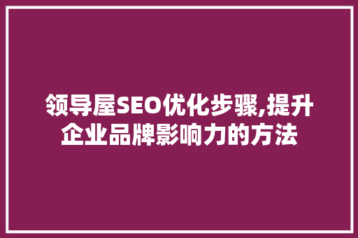 领导屋SEO优化步骤,提升企业品牌影响力的方法