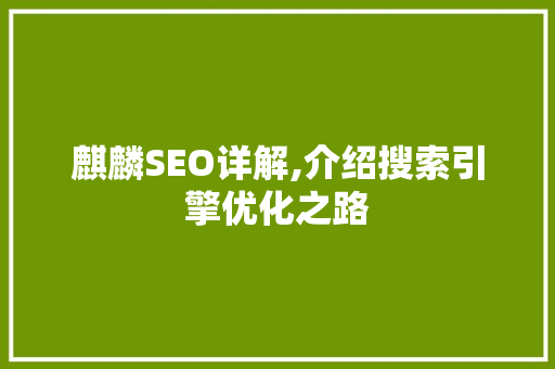 麒麟SEO详解,介绍搜索引擎优化之路