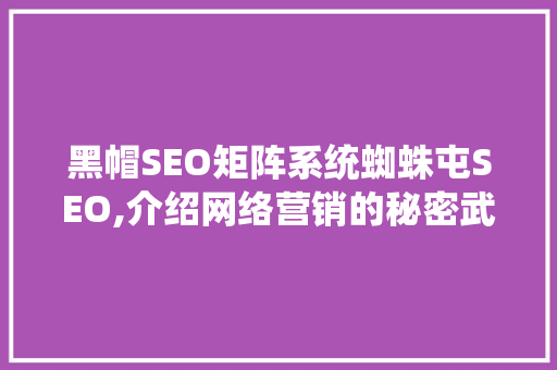 黑帽SEO矩阵系统蜘蛛屯SEO,介绍网络营销的秘密武器