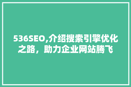 536SEO,介绍搜索引擎优化之路，助力企业网站腾飞  第1张