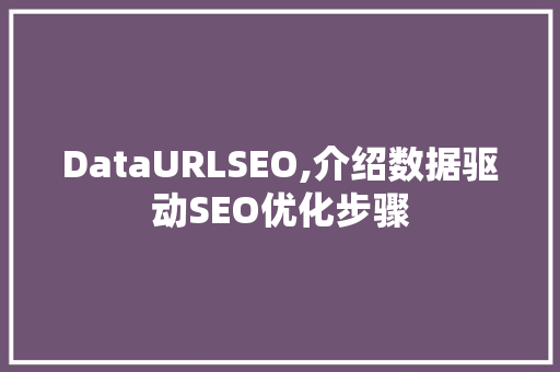 DataURLSEO,介绍数据驱动SEO优化步骤