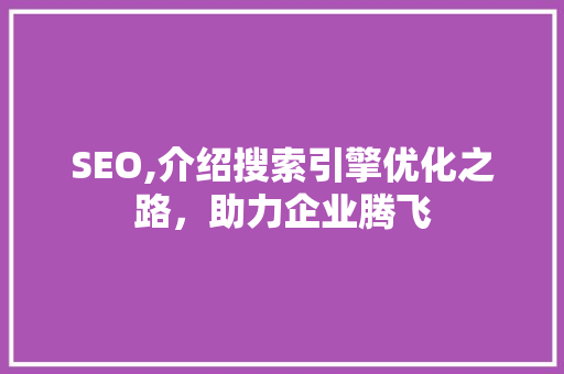 SEO,介绍搜索引擎优化之路，助力企业腾飞