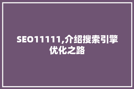 SEO11111,介绍搜索引擎优化之路