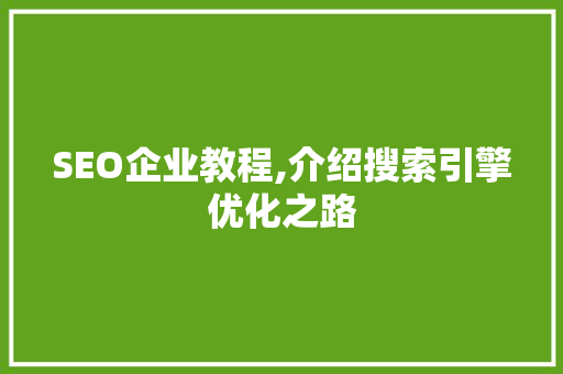 SEO企业教程,介绍搜索引擎优化之路