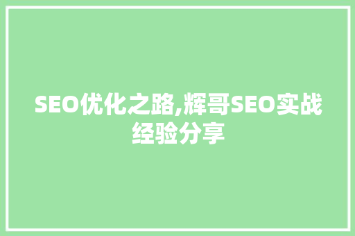 SEO优化之路,辉哥SEO实战经验分享