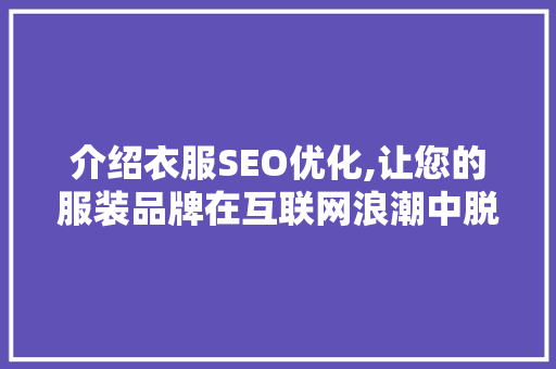 介绍衣服SEO优化,让您的服装品牌在互联网浪潮中脱颖而出