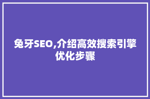 兔牙SEO,介绍高效搜索引擎优化步骤