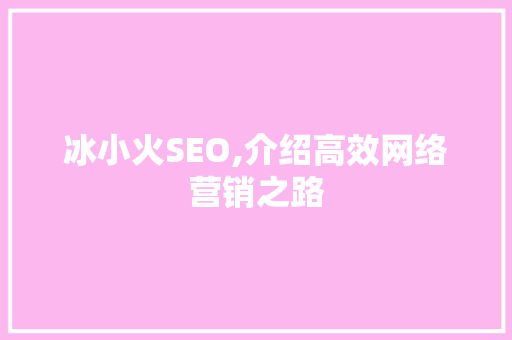 冰小火SEO,介绍高效网络营销之路