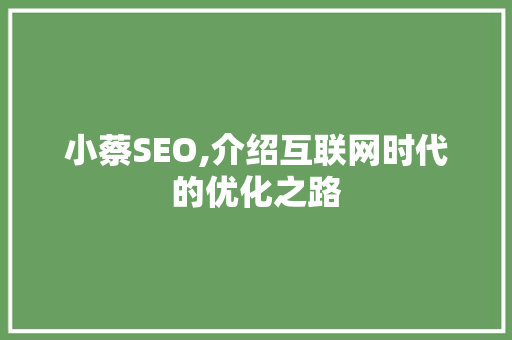 小蔡SEO,介绍互联网时代的优化之路