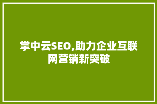 掌中云SEO,助力企业互联网营销新突破