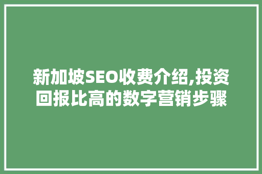 新加坡SEO收费介绍,投资回报比高的数字营销步骤