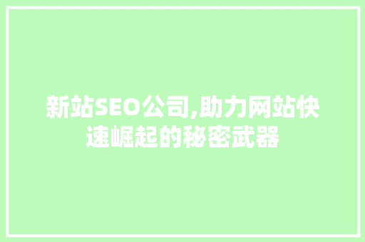 新站SEO公司,助力网站快速崛起的秘密武器