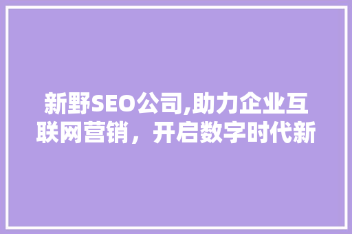 新野SEO公司,助力企业互联网营销，开启数字时代新篇章  第1张