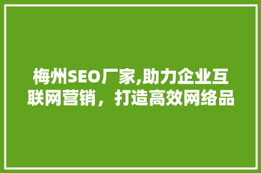 梅州SEO厂家,助力企业互联网营销，打造高效网络品牌形象