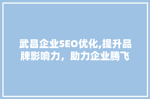 武昌企业SEO优化,提升品牌影响力，助力企业腾飞