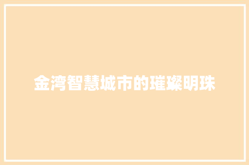 金湾智慧城市的璀璨明珠